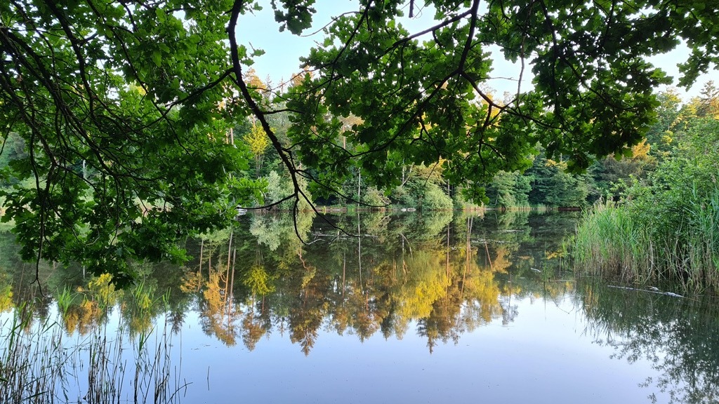 Moosweiher Fischbach-Göslikon