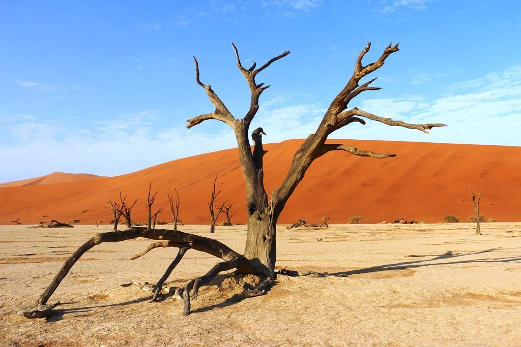 Namibia Dead Vlei